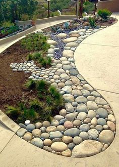 a garden with rocks and plants in it