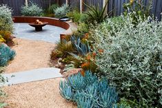 a circular bench sitting in the middle of a garden next to a gravel path and shrubbery