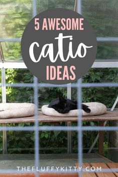 a black cat laying on top of a wooden bench in front of a window with the words, 5 awesome catio ideas