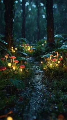 a path in the woods with glowing mushrooms and lights on it, surrounded by trees