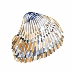 a watercolor painting of a seashell on a white background with blue and brown stripes