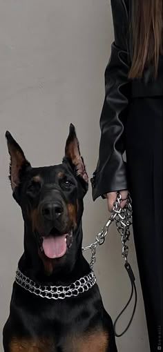 a black and brown dog on a leash being held by a woman