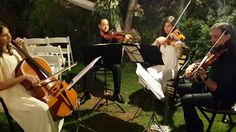 a group of people playing musical instruments in the grass