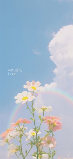 a vase filled with daisies under a rainbow