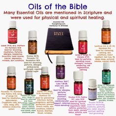 Oils Of The Bible, What Are Essential Oils, Anointing Oil, Young Living Essential Oils Recipes, Essential Oils Guide, Yl Oils, Essential Oils Health, Essential Oil Blends Recipes, Yl Essential Oils