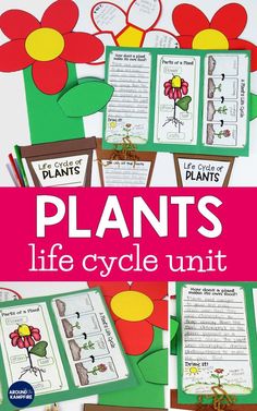 plants life cycle unit with pictures and instructions to make it fun for the whole family