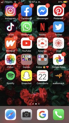 the home screen of an iphone with many different icons and symbols on it, including roses