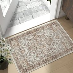 an area rug on the floor next to a potted plant in front of a door