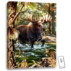 a painting of a moose walking through a stream in the woods with his antlers spread out