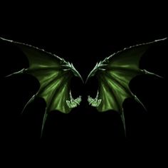 two green dragon wings are facing each other on a black background with only one wing visible