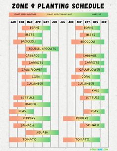 the zone 9 planting schedule is shown