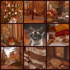 a collage of photos with autumn colors