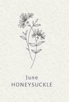 the cover of june honeysuckle, with flowers drawn in black and white ink