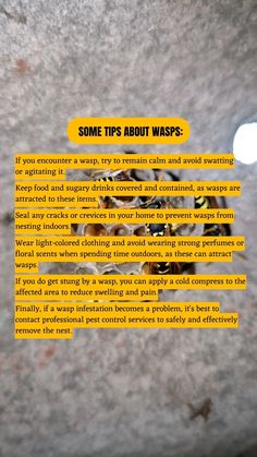 Wasps: Tips & Tricks for a Buzz-Free Life! 🌼 Whether you're in your backyard or out and about, these tips will help you stay safe and keep those buzzing creatures at bay. Remember to remain calm and avoid swatting or agitating them. Keep your snacks covered and seal those cracks to prevent unwanted houseguests. Opt for light-colored clothing and avoid strong perfumes to dodge their attention. Stay safe and buzz-free! 🙌🏡🐝 Drink Covers, Remain Calm, Sugary Drinks, Free Life, Tips Tricks, Floral Scent, Out And About, Stay Safe