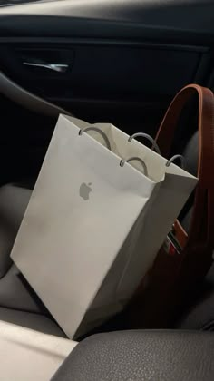 an apple bag sitting on the back seat of a car