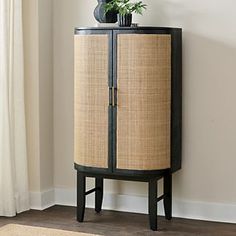 a tall cabinet with a plant on top