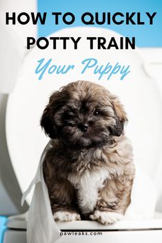 a puppy sitting on top of a toilet with the words how to quickly potty train your puppy