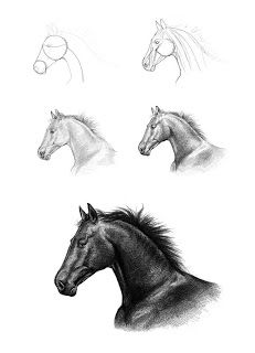 three horses are shown in black and white