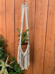 a plant hanging from a wooden wall next to a potted plant