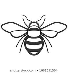 a black and white image of a bee with stripes on it's back side