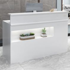 a white reception desk with two planters on it