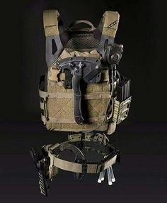 Ooohhh baby! Love this set up, but i would like to have the tomahawk on the side or in the belt. And a knife and some magazines on the PC. Tactical Gear Loadout, Tactical Survival, Plate Carrier, Chest Rig