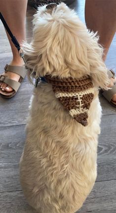 a white dog wearing a crocheted scarf