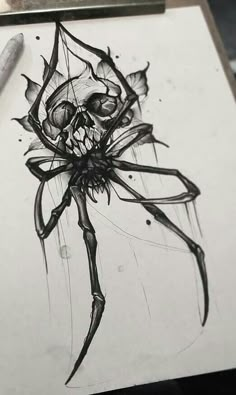 a pencil drawing of a spider with a skull on it's back and legs