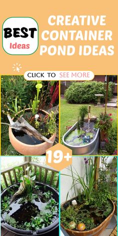 the best ideas for creating an outdoor pond in your garden are here to help you get started