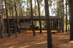 a house in the woods surrounded by trees