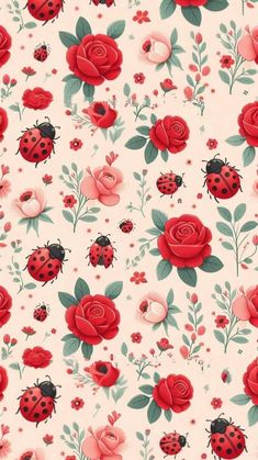 red roses and ladybugs on a white background