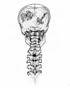 a drawing of a human skeleton with fish on it's back and side view