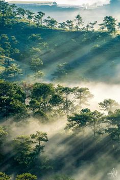 the sun shines through the fog in the trees on top of a mountain range