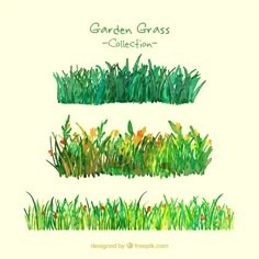 watercolor garden grass collection with different colors and sizes on the grass is shown in three separate layers