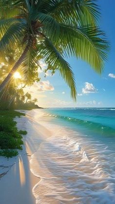 the sun shines brightly through palm trees on an empty beach with white sand and blue water