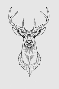 a drawing of a deer's head with large horns