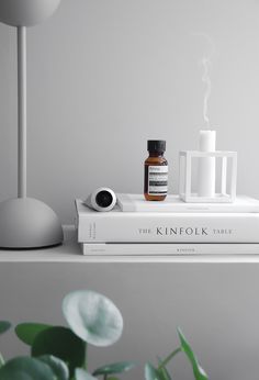 a stack of books sitting on top of a white shelf next to a potted plant