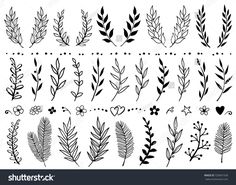 different types of plants and leaves in black on white background stock photo, images and royalty