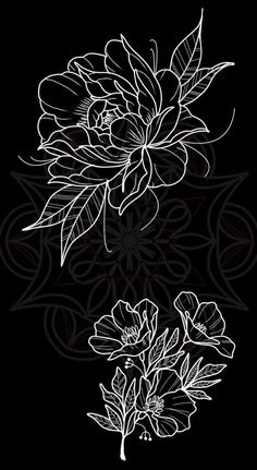 some flowers on a black background with white lines and red dots in the middle,