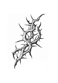 a black and white drawing of a thorny tree branch with leaves on it's branches