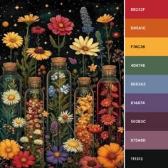 an image of flowers in vases with colors