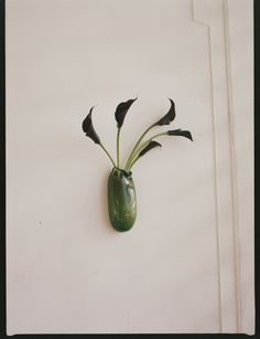 a green vase with some black flowers in it