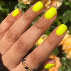 "You're Un\"bee\"lievable - Buzzy Neons Collection You're Un\"bee\"lievable is an attention grabbing highlighter neon yellow." Neon Yellow Short Nails, Neon Nails Yellow, Neon Yellow Acrylic Nails, Highlight Nails, Short Neon Nails, Bright Yellow Nails, Liquid Gel Nails, 2025 Nails, Summer Nails Neon