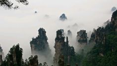 the mountains are covered in thick fog and low clouds, with trees growing on them