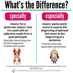 the differences between dogs and their owners