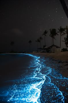 the beach is lit up with blue lights and palm trees in the background at night