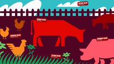 an image of farm animals in the grass with labels on them that say meat and eggs