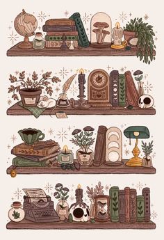 three shelves with books and plants on them