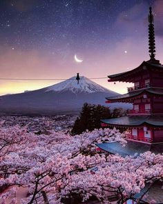 Mount Fuji Japan, Monte Fuji, Japan Landscape, Japan Photography, Japon Illustration, Japan Aesthetic, Aesthetic Japan, 판타지 아트