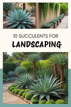 the top ten plants for landscaping